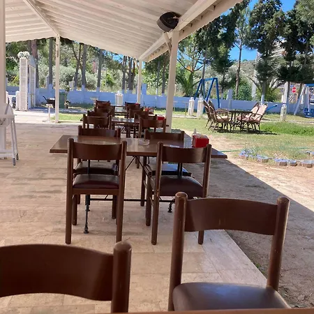 Hotell The Palm Club