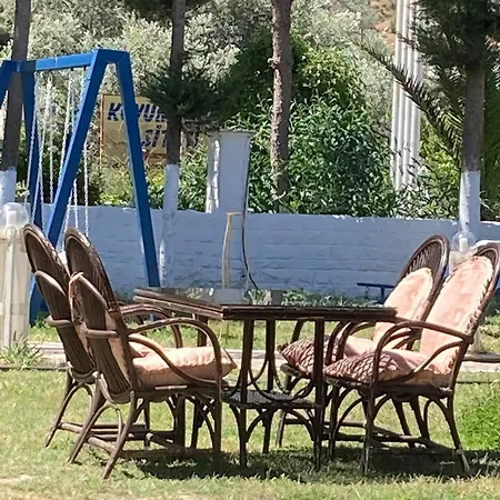 The Palm Club קוסדסי
