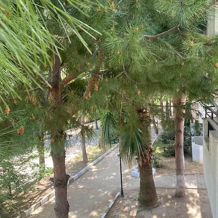 The Palm Club Kusadası