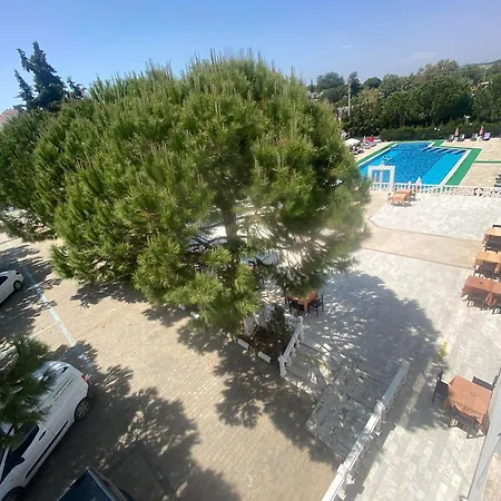 The Palm Club מלון קוסדסי